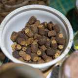 Il tavolo su cui Mino sta lavorando � anch�esso pieno di attrezzi, pennelli, tappi di sughero, perline e tantissimi noccioli di olive
